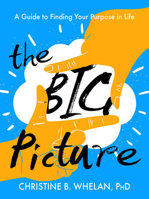 cover image of The Big Picture